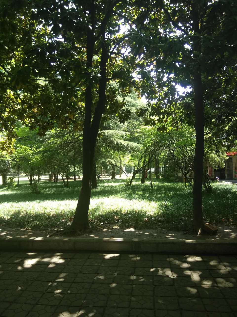 田家庵区洞山街道中兴村_3