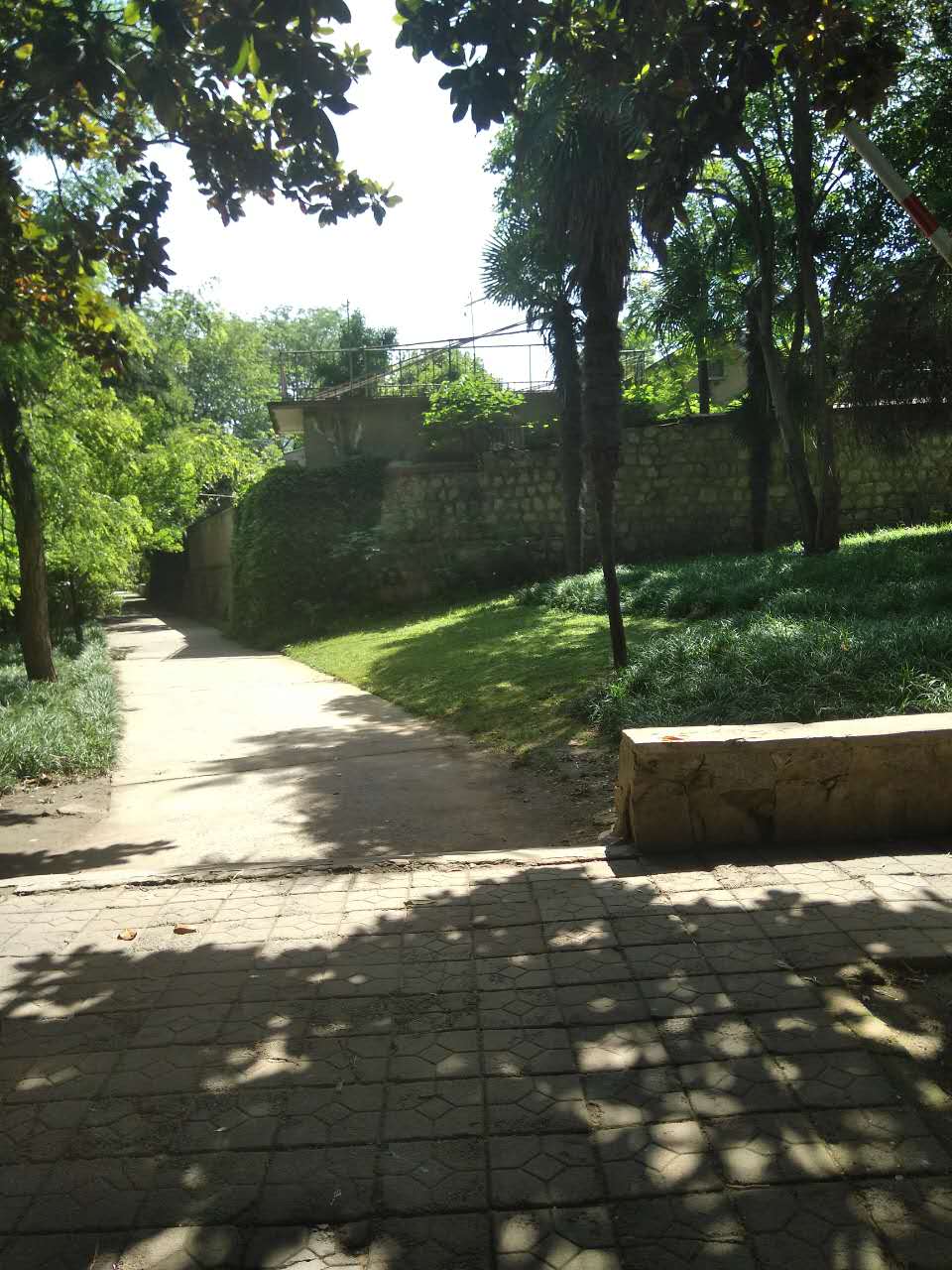 田家庵区洞山街道中兴村_2