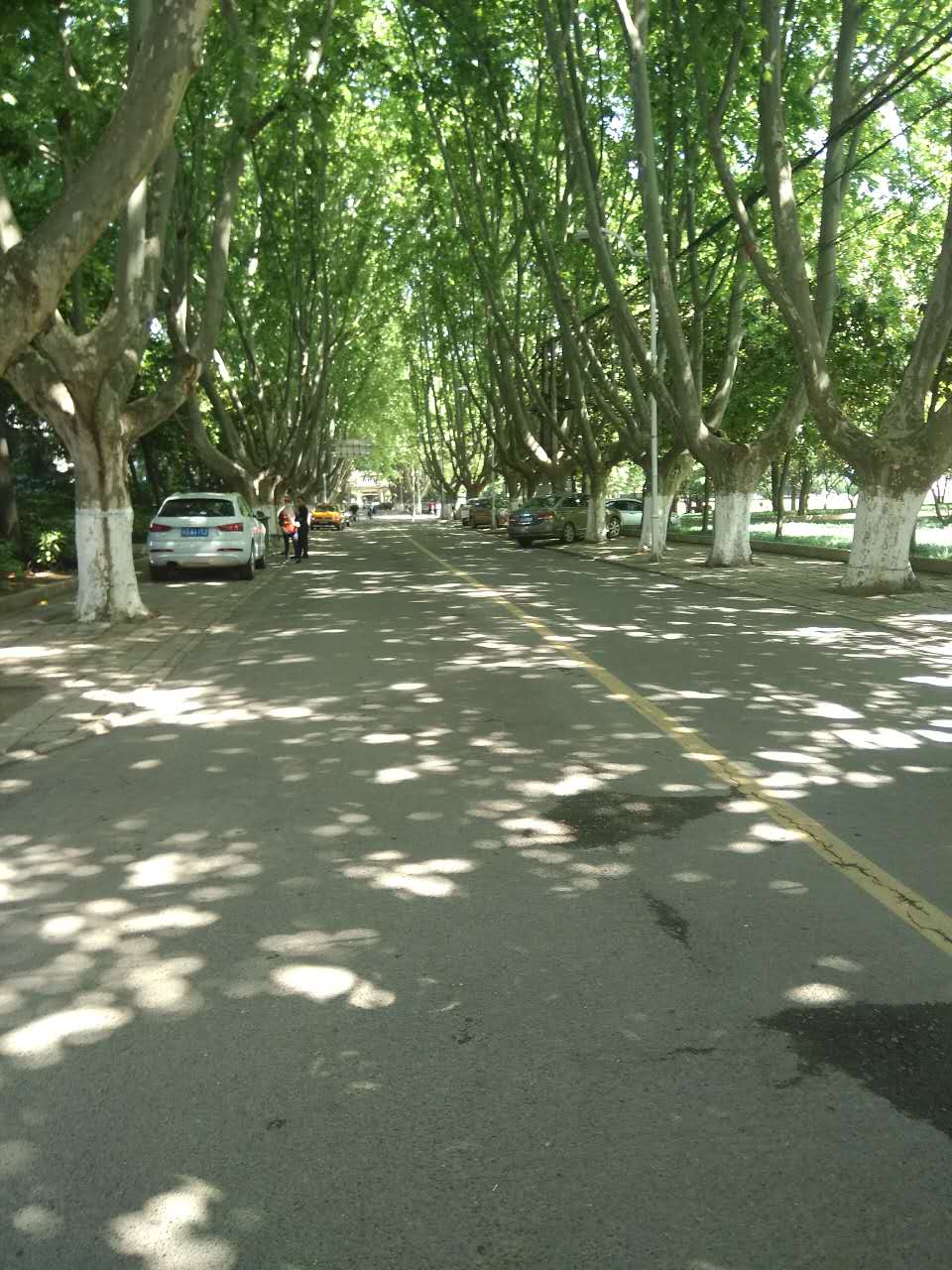 田家庵区洞山街道中兴村_7