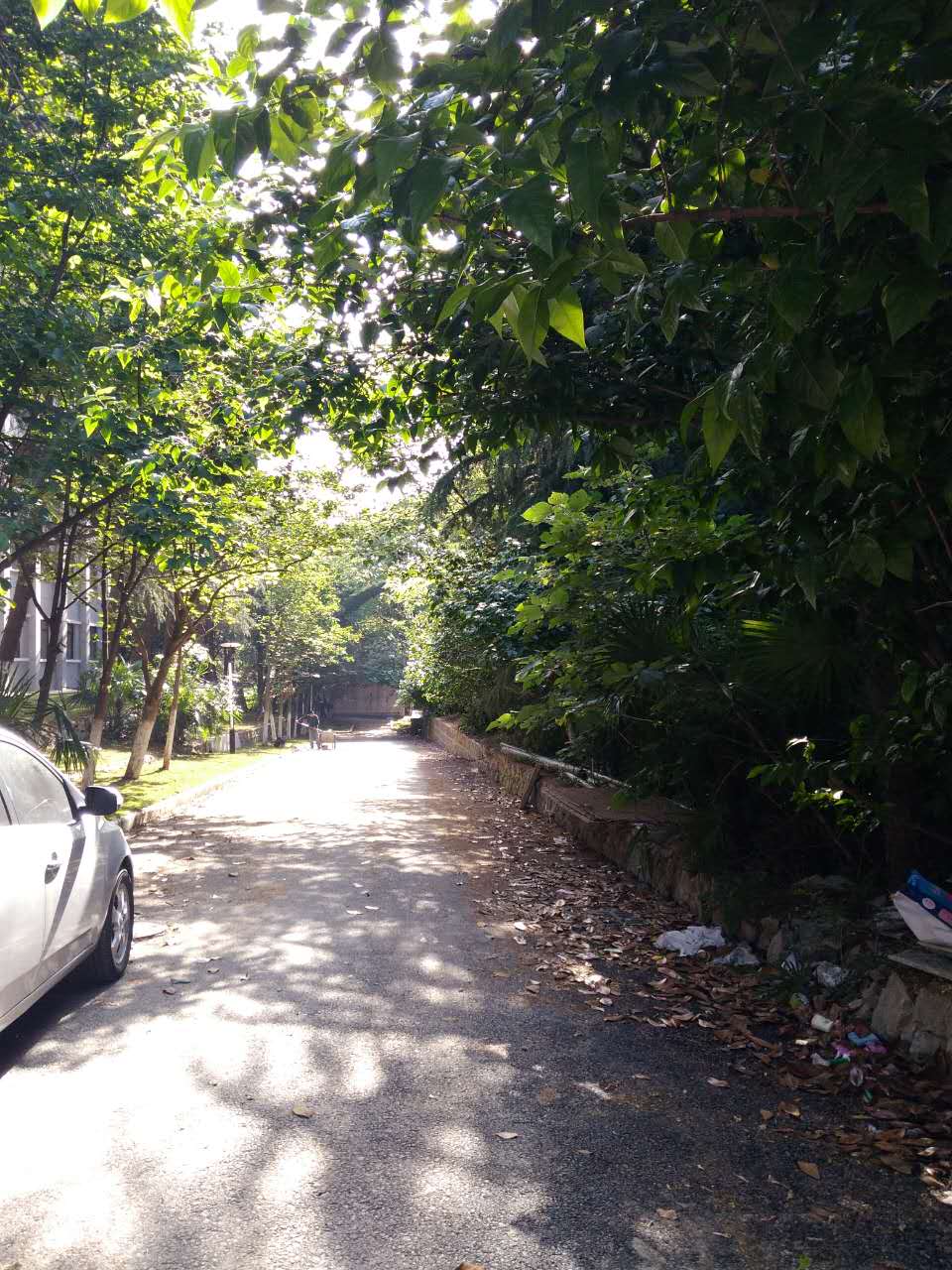 田家庵区龙泉街道市委党校家属楼_1