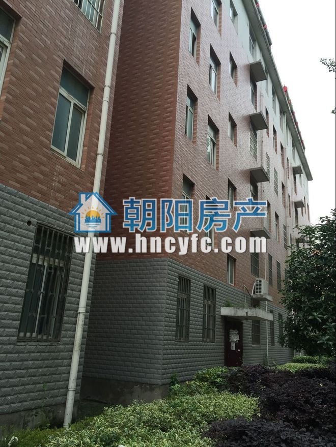 鑫湖花园毛坯3室2厅急售_10