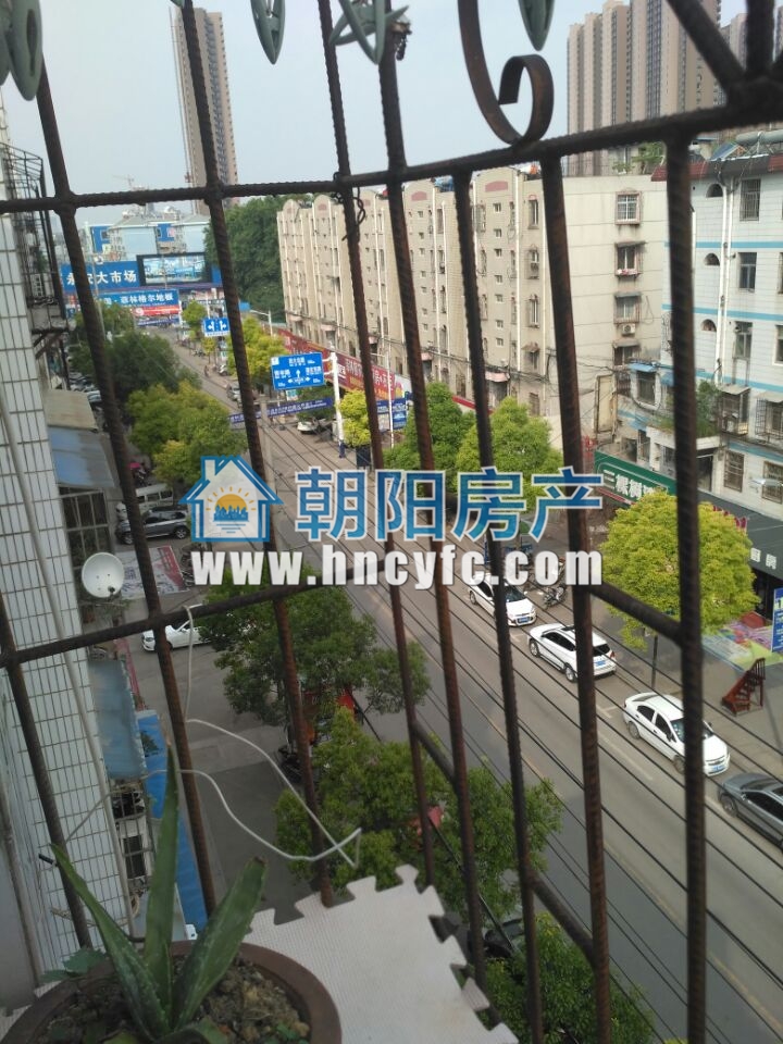 香港街 78平 南向两居 免税 中装_10