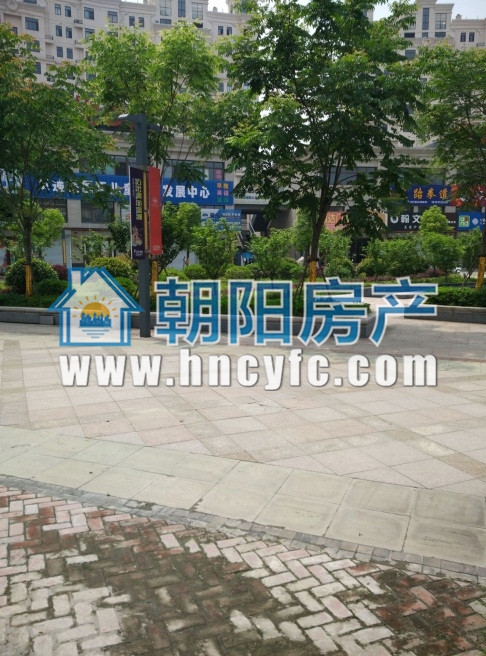 金地月半湾 68平单铺 临街毛坯 适合多种经营_8