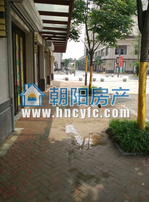 金地月半湾 68平单铺 临街毛坯 适合多种经营_4