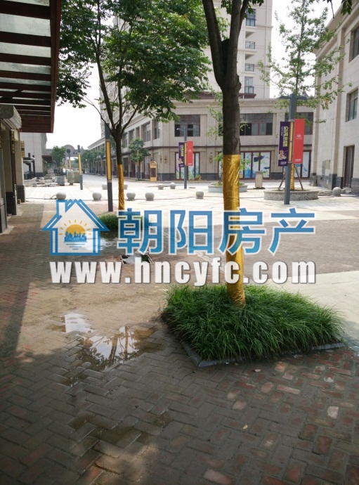 金地月半湾 68平单铺 临街毛坯 适合多种经营_3