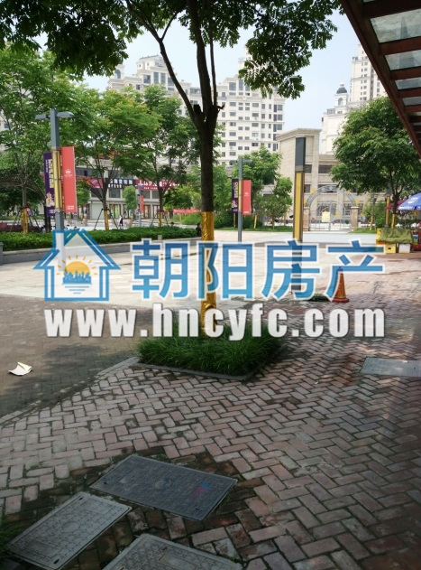 金地月半湾 68平单铺 临街毛坯 适合多种经营_2
