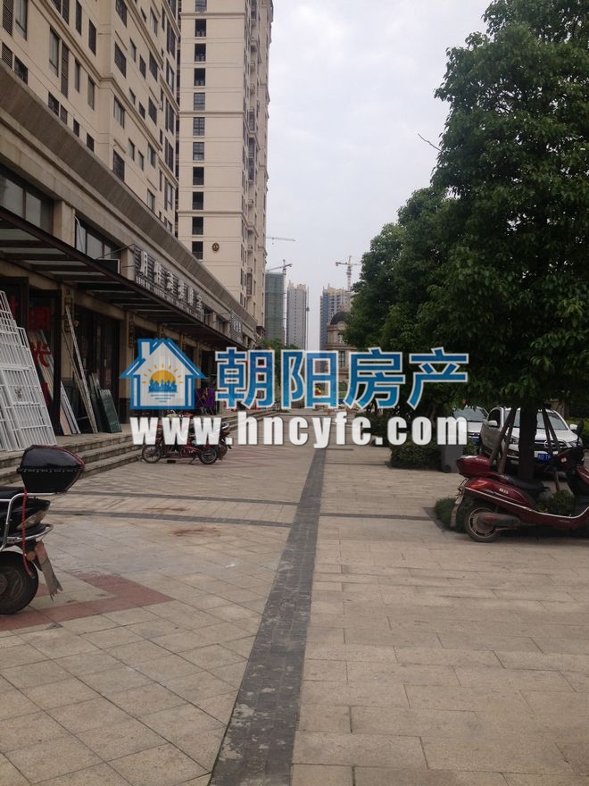 金地月伴湾四区 66平 低楼层单铺 毛坯交付_7