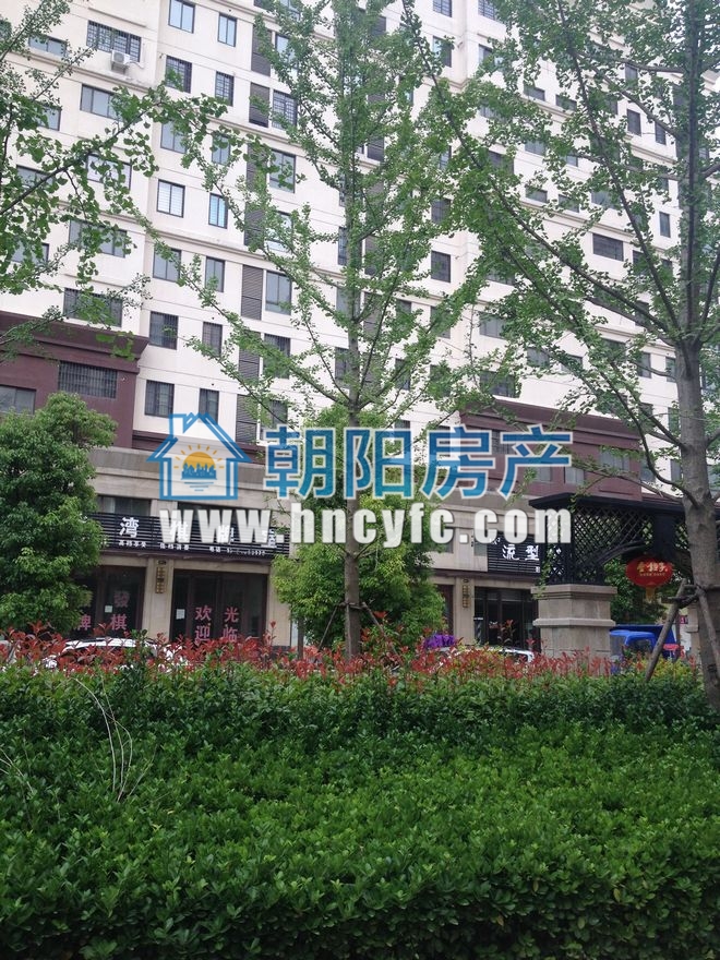 金地月伴湾四区 66平 低楼层单铺 毛坯交付_6