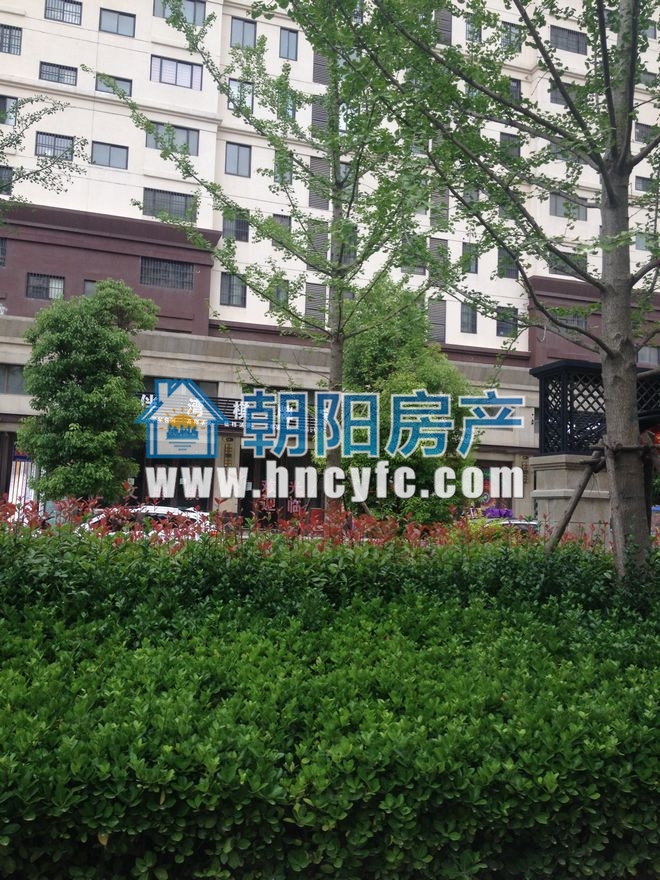 金地月伴湾四区 66平 低楼层单铺 毛坯交付_5
