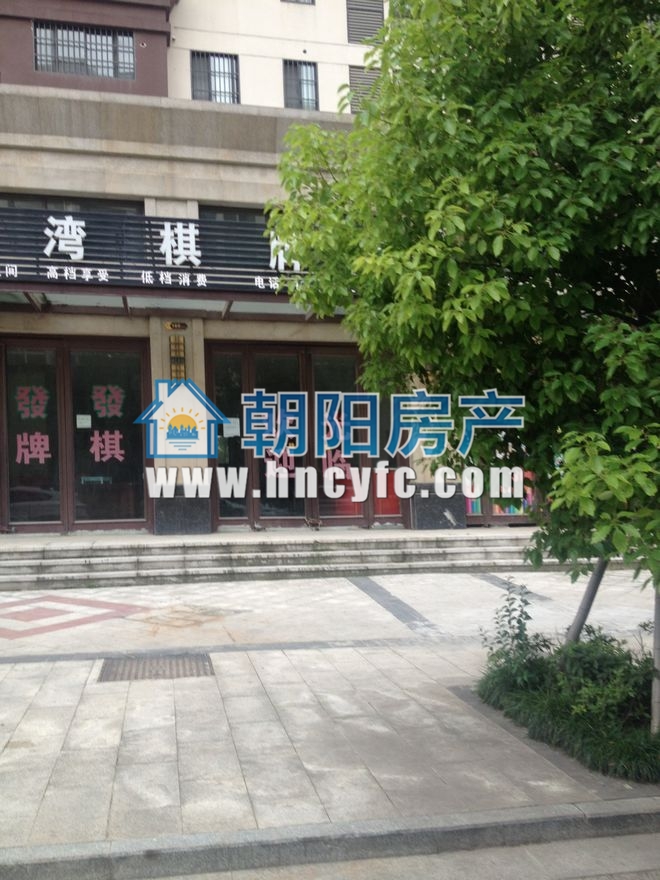 金地月伴湾四区 66平 低楼层单铺 毛坯交付_4