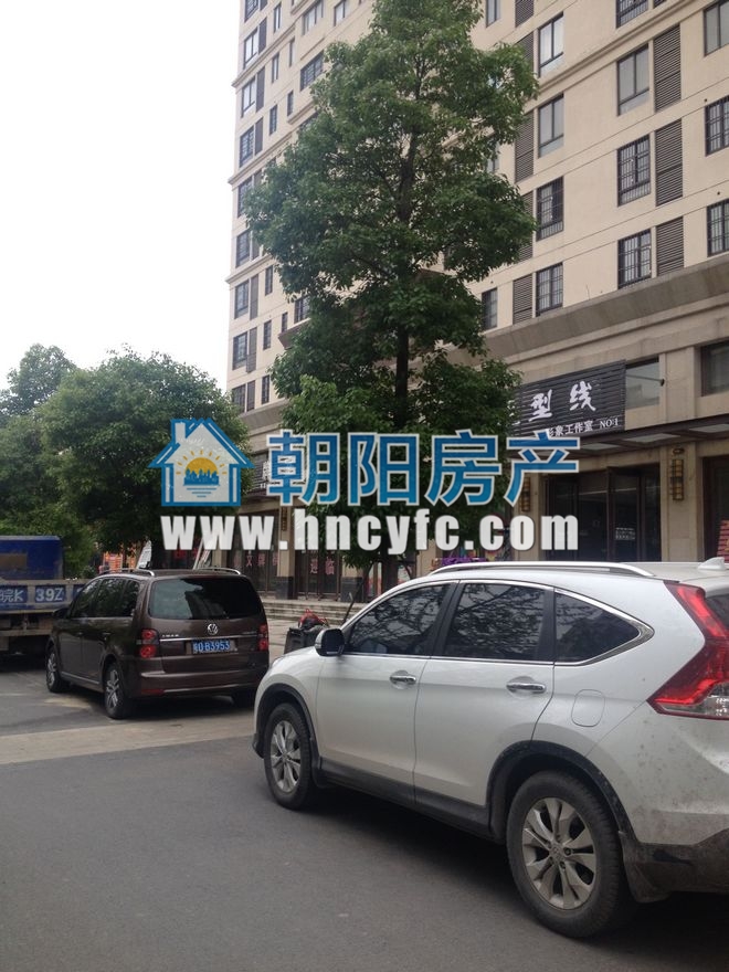 金地月伴湾四区 66平 低楼层单铺 毛坯交付_3