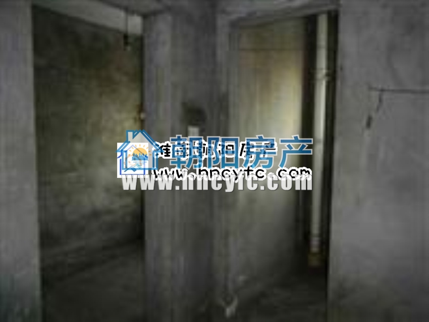 新社四村 93平 朝南三室一卫 高楼层视野好_5