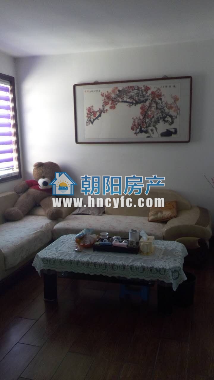 淮上西苑 76平 南向两室一厅 高楼层采光好_9