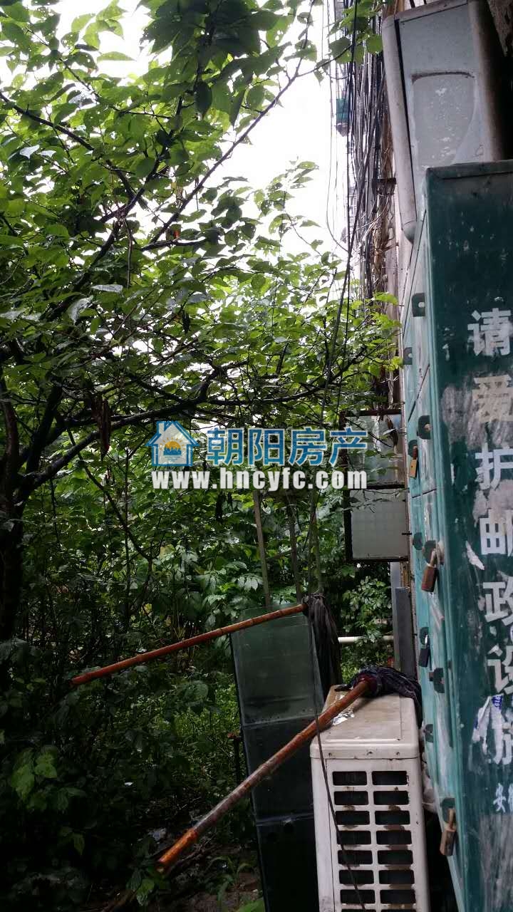 天桥小区 三室一厅 好楼层 中装修 急售_2