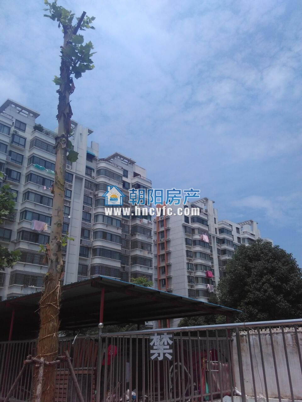 东苑东区跃层带大平台好房急售_2