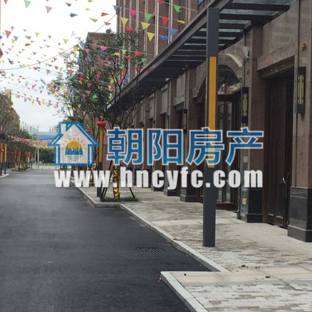 金地月半湾 65平单铺 低楼层 毛坯商铺 灵活经营_4