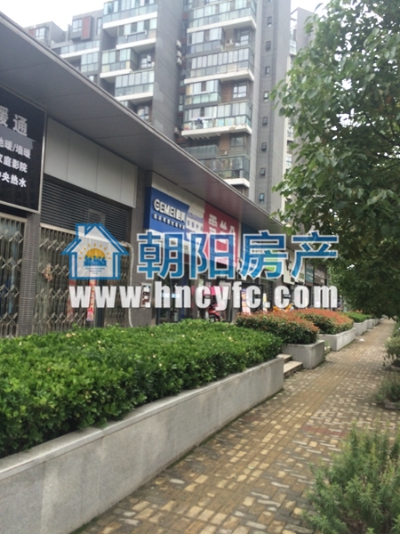 淮河新城三期商铺 沿路 位置好_4