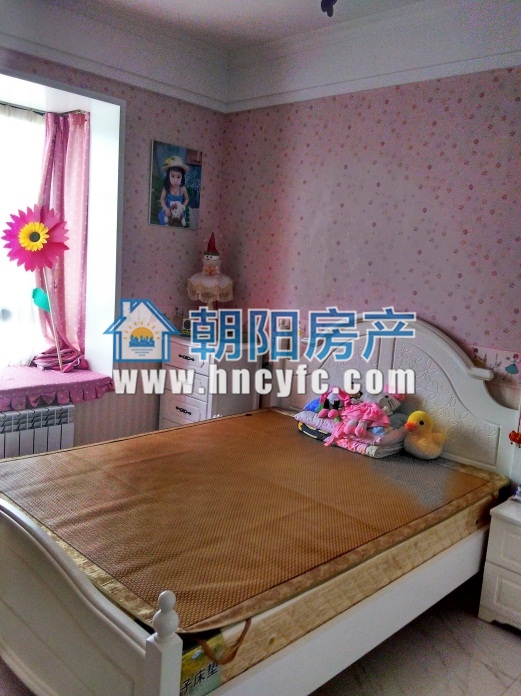 圣地新都会学区好房出售婚房装修基本未住_9