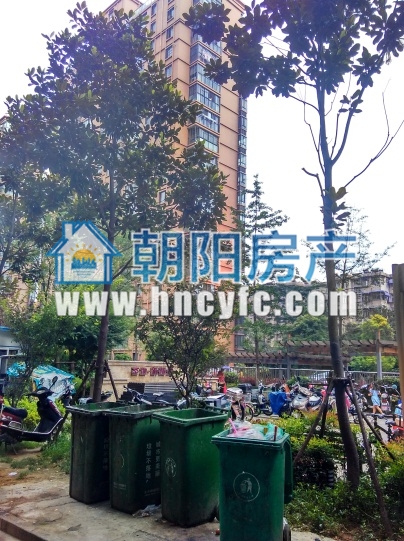 圣地新都会学区好房出售婚房装修基本未住_3