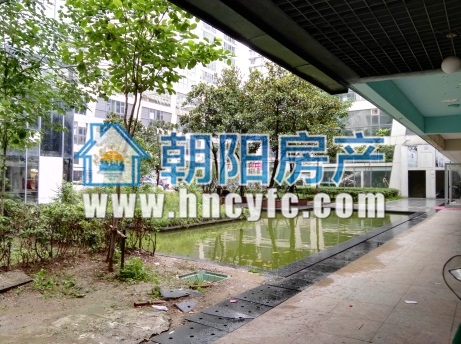 龙湖路一号 40平 南向商铺 交通要塞 人流密集_3