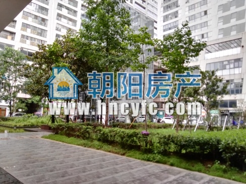 龙湖路一号 40平 南向商铺 交通要塞 人流密集_2