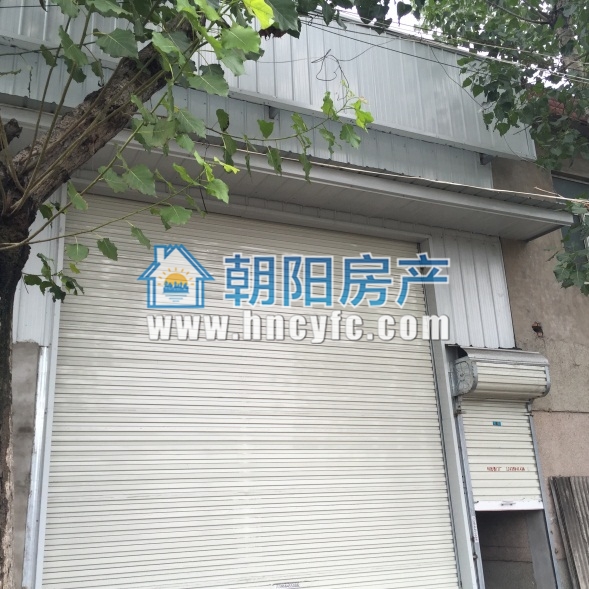 田家庵区独立厂房315平单层低楼层无电梯_2