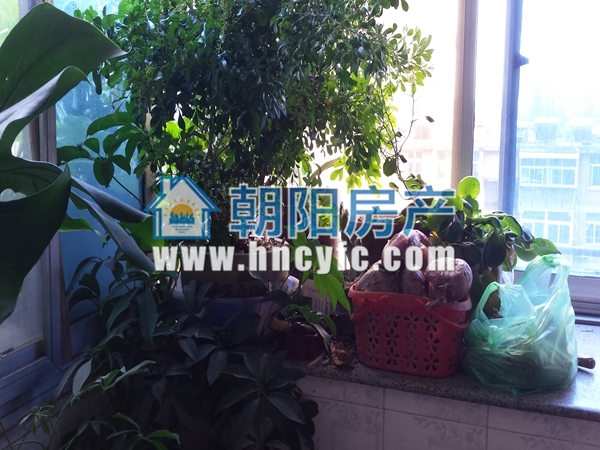 朝阳村 91平 南向三室一卫 交通便利 学区配套_7