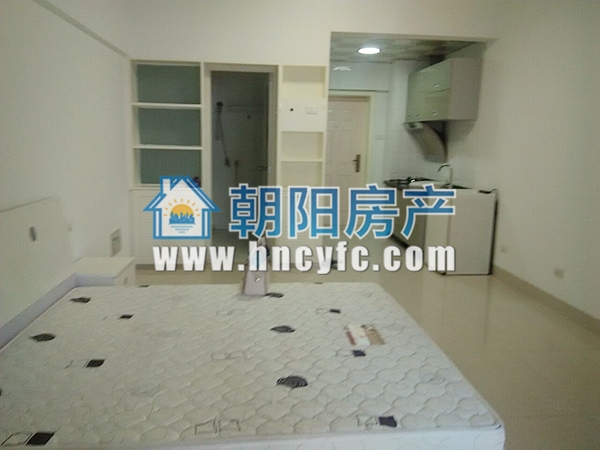 龙湖路一号 47平 东向精装一居 交通便利配套齐全_8