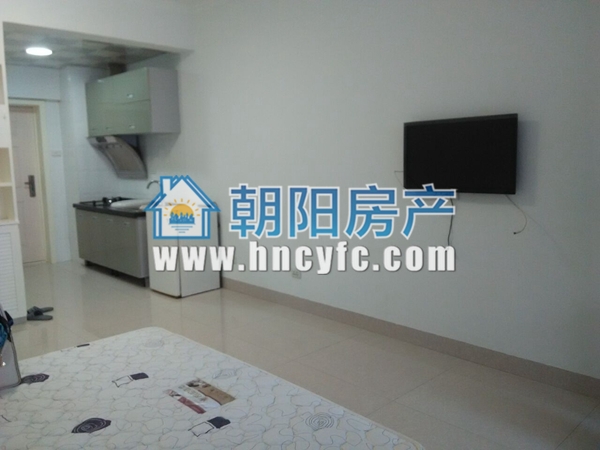 龙湖路一号 47平 东向精装一居 交通便利配套齐全_4