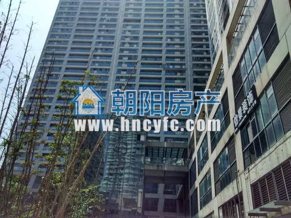 龙湖路一号 47平 东向精装一居 交通便利配套齐全_2