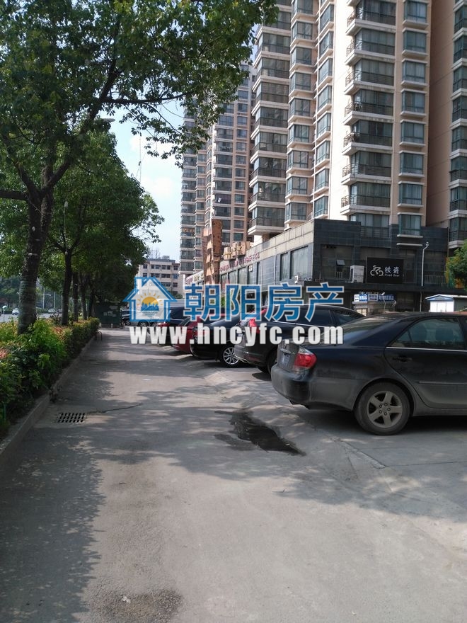 阳光365 61平 临街商铺 人流密集 交通要塞_2