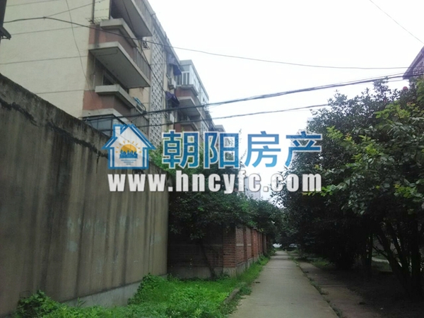 理工大家属楼 66平 朝南三室 学区房 简装出租_2
