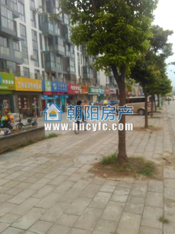龙泉街道 190平 底商商铺 简装 2011年建成_2