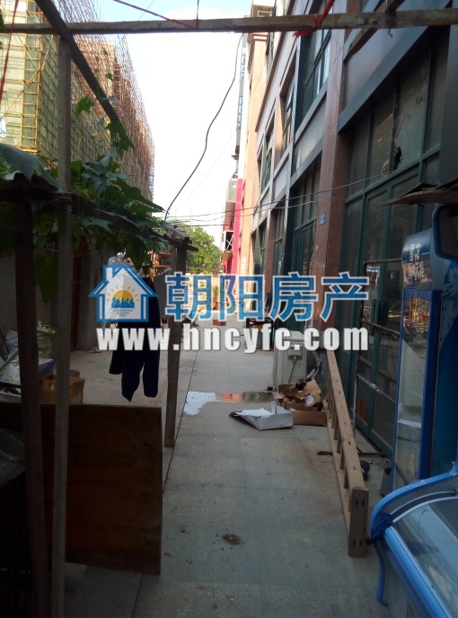 朝阳菜场商铺 23平 北向临街旺铺 简装低楼层_6