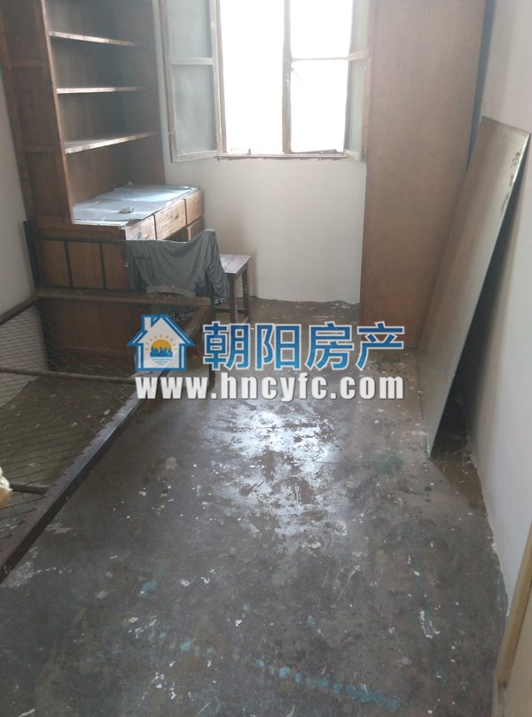 洞泉小区 43平 南向两居采光好 随时看房_4