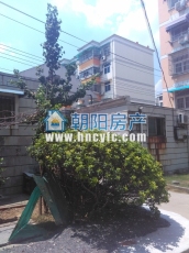 淮化西苑 71平 朝南两室 满两年 交通便利