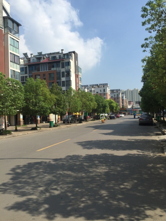 公园街道 86平 双铺打通商铺 简装 低楼层_2