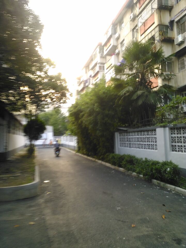 江陈小区 67平 南向三室中装 交通便利_3