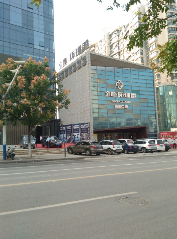 田家庵区金地环球港_5
