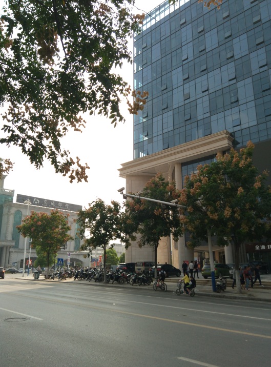 田家庵区金地环球港_2