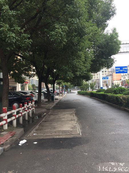 阳光365 55平 临街旺铺紧邻地铁 优质地段_2