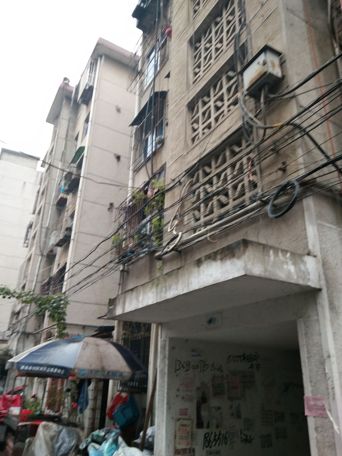 朝阳村 100平 南向三室中装 3900元/平 配套齐全_2