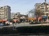田东街道 108平 双铺打通精装商铺 低楼层