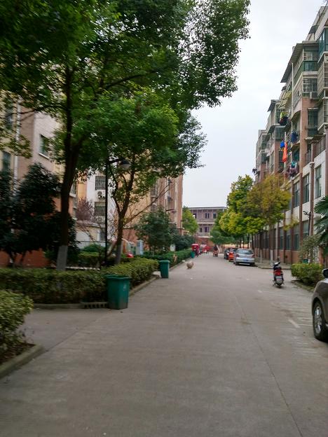 金色河畔优质学区跃层精装出售！急卖！看中价格更多优惠！_13