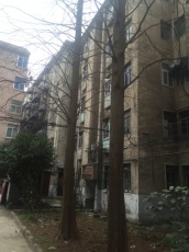人防大院 76平 南向两室 高楼层 交通便利