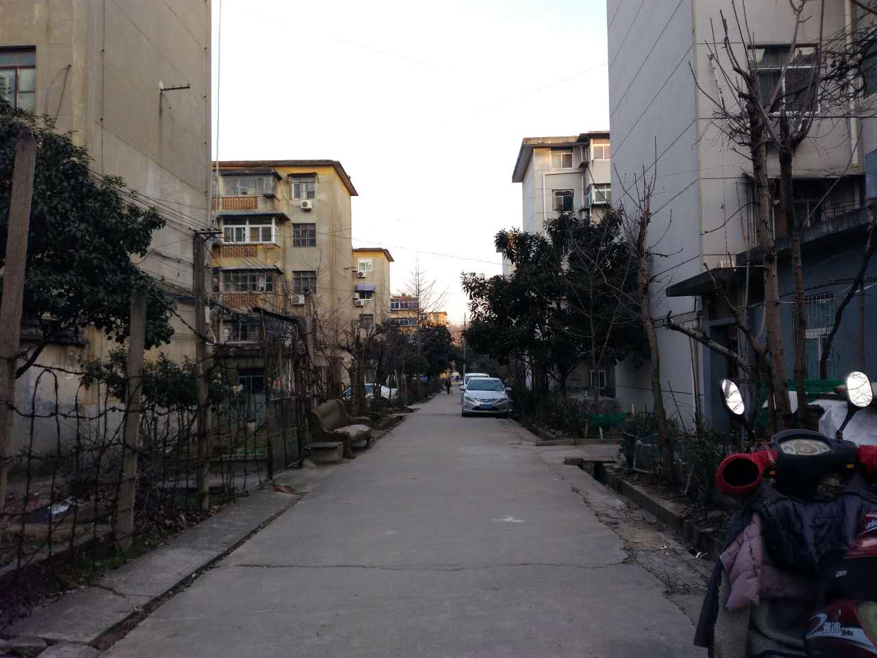 金岭村 45平 朝南两室一厅 稀缺出租房 采光好_2