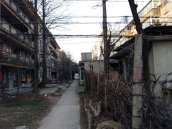 金岭村 45平 朝南两室一厅 稀缺出租房 采光好