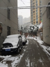 吉安小区 66平 南向两室一厅 低楼层 中装出租