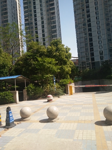 鑫诚花园毛坯3室2厅 洞二小学区房_2