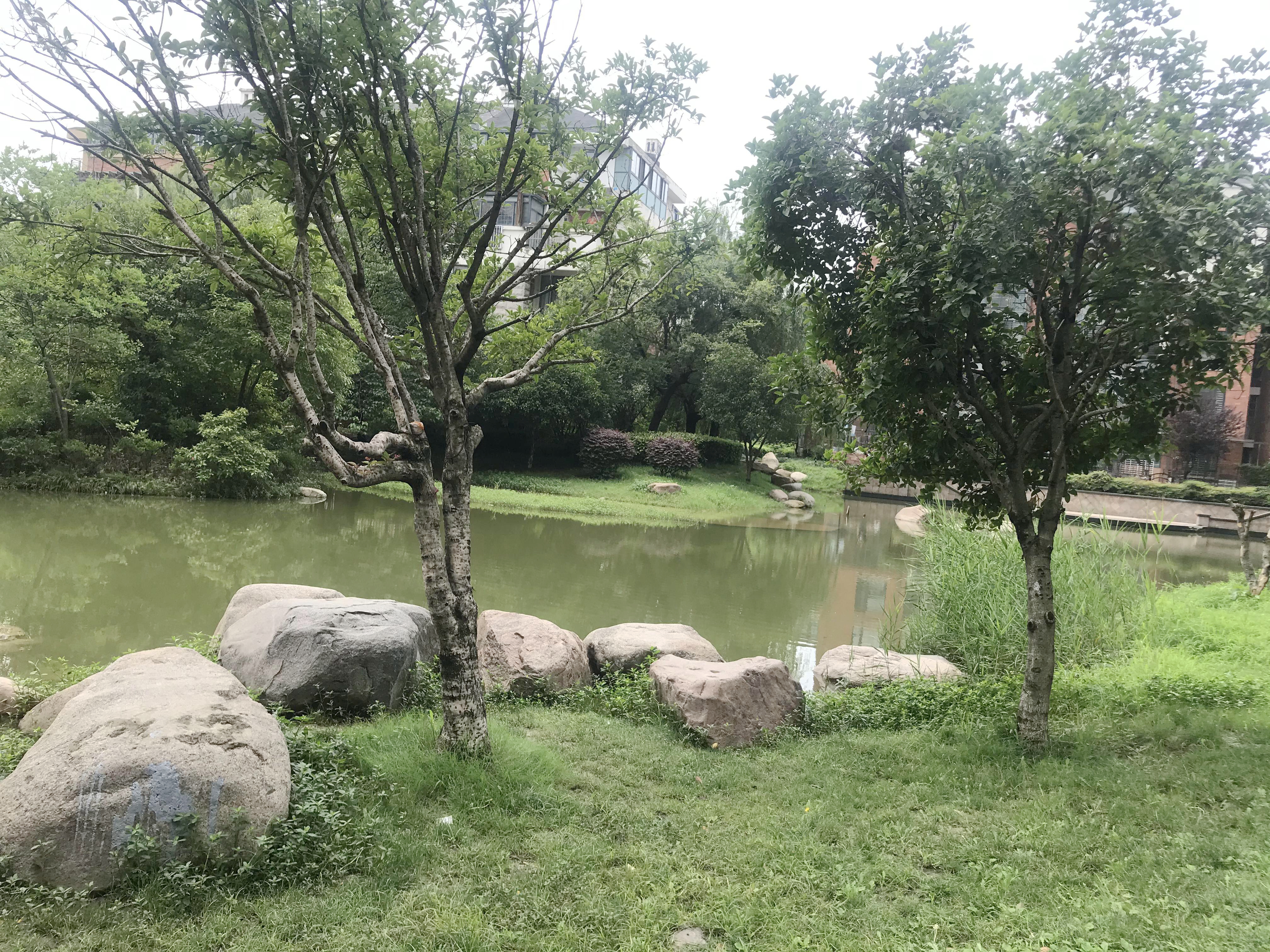田家庵区国庆街道金地国际城B区_35